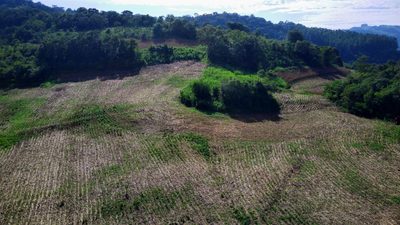 Loteamento e Condomínio, 20 hectares - Foto 1