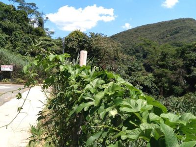 Terreno, 904 m² - Foto 3