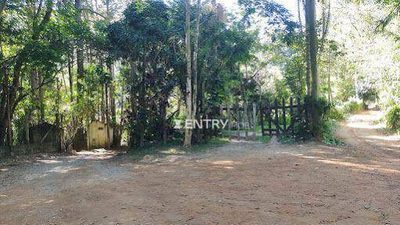 Chácara, 6 quartos, 3 hectares - Foto 3