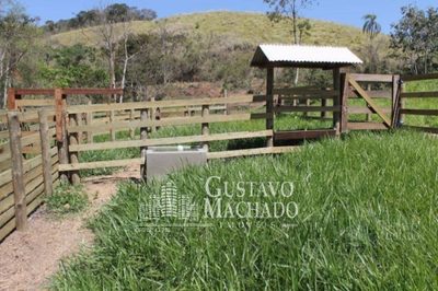 Fazenda, 40 hectares - Foto 4