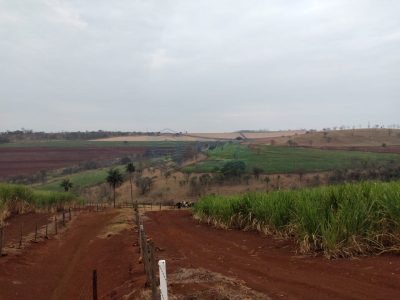 Fazenda - Foto 4