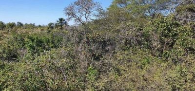 Terreno - Foto 4
