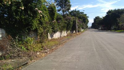 Terreno, 5000 m² - Foto 5
