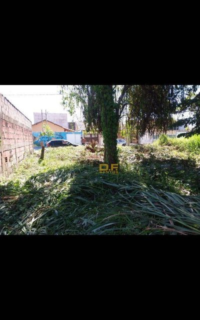 Terreno, 250 m² - Foto 3