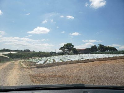 Terreno, 8 hectares - Foto 2