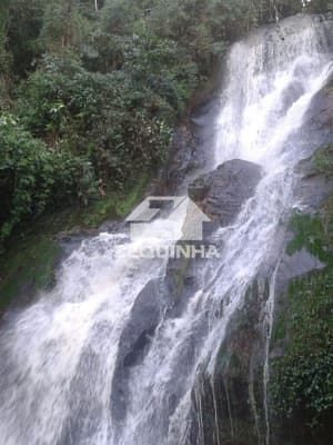 Sítio, 4 quartos, 4 hectares - Foto 3