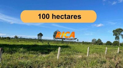 Fazenda, 100 hectares - Foto 1