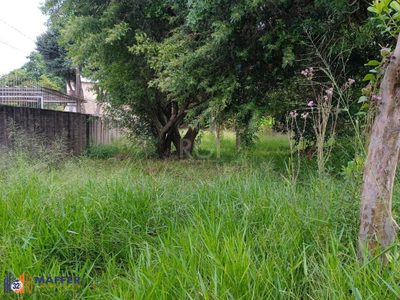 Terreno, 368 m² - Foto 4