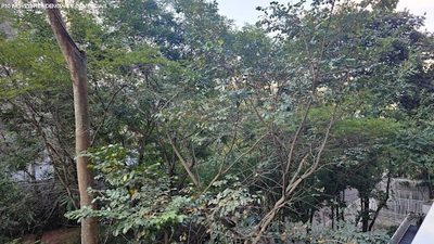 Apartamento, 3 quartos, 132 m² - Foto 5