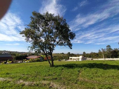 Terreno, 818 m² - Foto 5