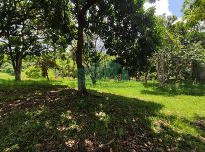Loteamento e Condomínio, 4 hectares - Foto 5