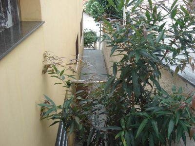 Prédio Inteiro - Foto 5