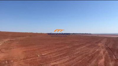 Fazenda, 126 hectares - Foto 4