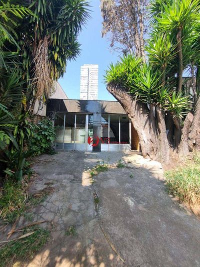 Casa, 3 quartos, 692 m² - Foto 4