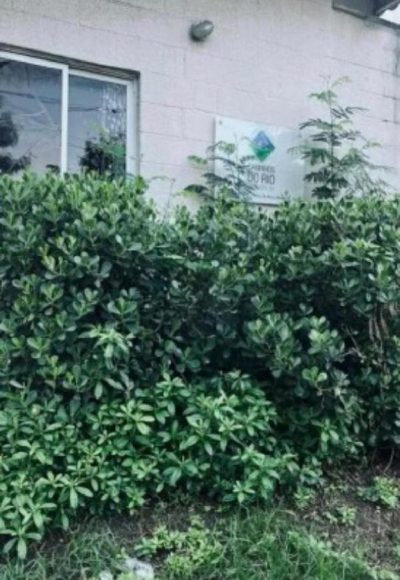 Apartamento, 2 quartos, 42 m² - Foto 1