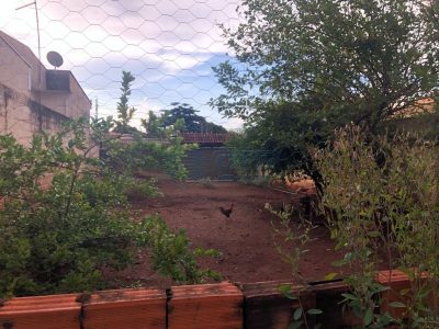 Terreno - Foto 2