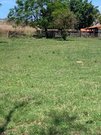 Chácara, 1 quarto - Foto 3