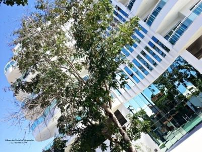 Cobertura, 3 quartos, 204 m² - Foto 5