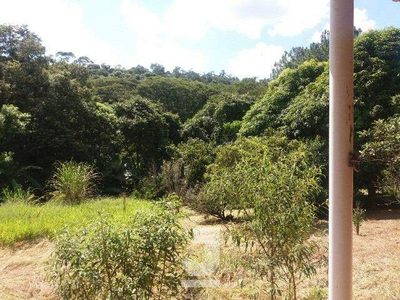 Chácara, 4 quartos, 2 hectares - Foto 3