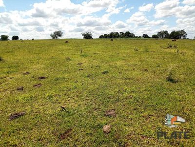 Sítio, 15 hectares - Foto 2