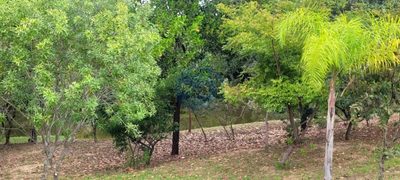 Terreno, 324 m² - Foto 4