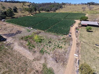 Fazenda, 9000 m² - Foto 2