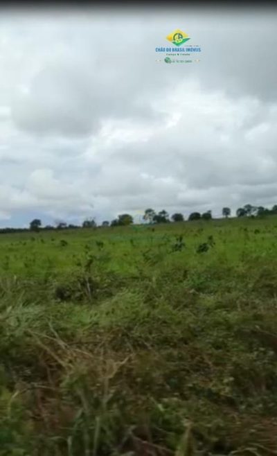 Fazenda, 2 quartos - Foto 3