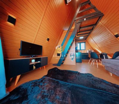 Sítio, 1 quarto, 1200 m² - Foto 3
