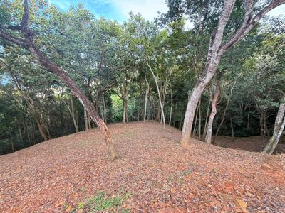 Terreno, 1260 m² - Foto 2