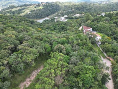 Terreno, 3 hectares - Foto 4