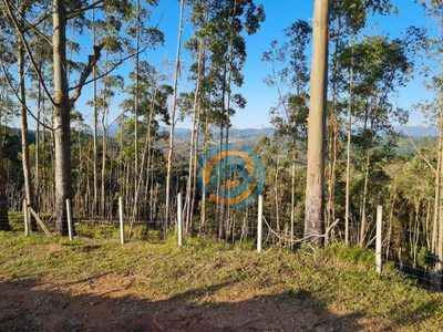Terreno, 7 hectares - Foto 4