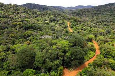 Terreno, 10 hectares - Foto 1