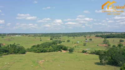 Fazenda, 2040000 hectares - Foto 3