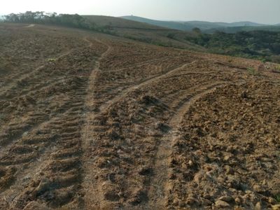 Fazenda, 160 hectares - Foto 1