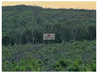 Fazenda, 970 m² - Foto 3