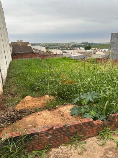 Terreno, 300 m² - Foto 3