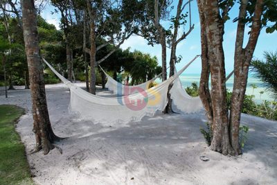 Casa, 800 m² - Foto 4