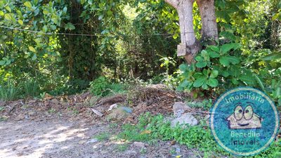 Terreno, 1000 m² - Foto 2
