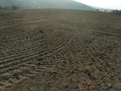 Fazenda, 160 hectares - Foto 2