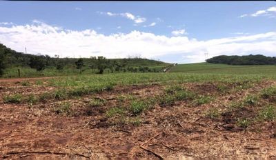 Fazenda, 458 hectares - Foto 2