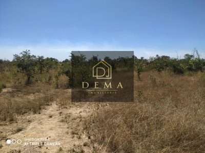 Fazenda - Foto 5