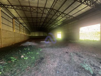 Depósito-Galpão, 1000 m² - Foto 3