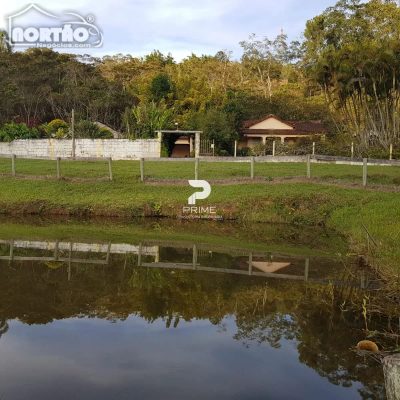 Casa, 5 quartos, 250 m² - Foto 4