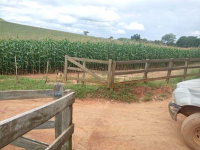 Fazenda, 100 m² - Foto 1