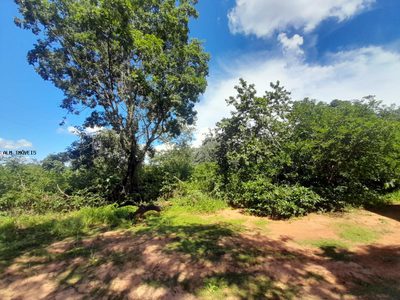 Terreno, 5 hectares - Foto 5