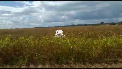 Fazenda, 1 m² - Foto 3