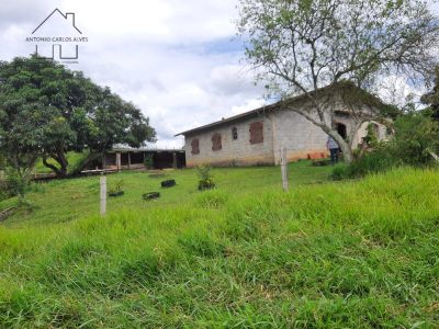 Chácara, 3 quartos, 5100 m² - Foto 5