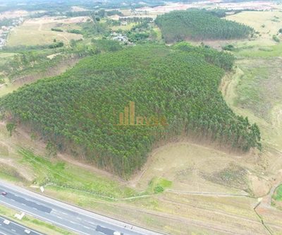 Terreno, 25 hectares - Foto 2