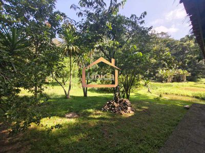 Chácara, 5 quartos, 260 hectares - Foto 3