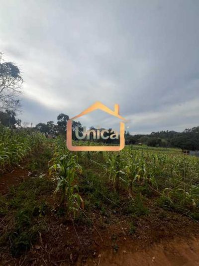 Terreno, 1 hectares - Foto 4